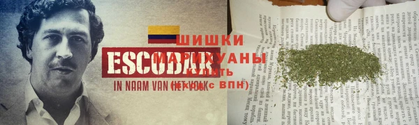 ПСИЛОЦИБИНОВЫЕ ГРИБЫ Беломорск