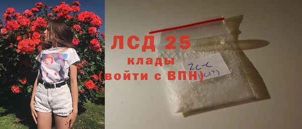 ПСИЛОЦИБИНОВЫЕ ГРИБЫ Беломорск