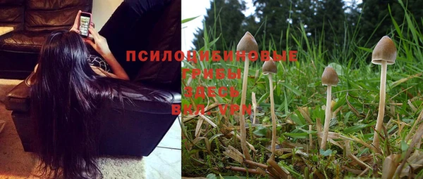 MESCALINE Белоозёрский