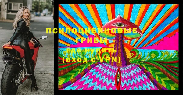 бошки Карпинск