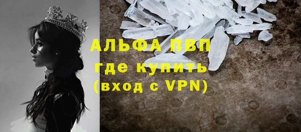 крисы Белокуриха