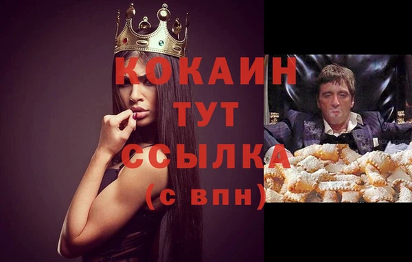 крисы Белокуриха