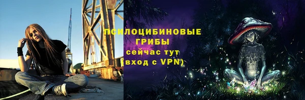 ПСИЛОЦИБИНОВЫЕ ГРИБЫ Беломорск